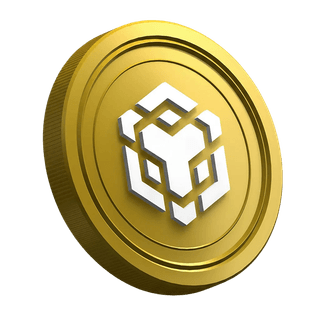 La cryptomonnaie BNB présentée sur la page du guide pour trader novice