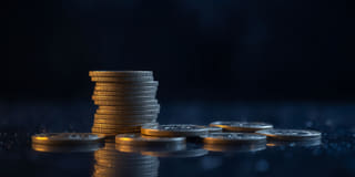 Transparence — renseignements clairs concernant la plateforme de trading Fauve Rendange